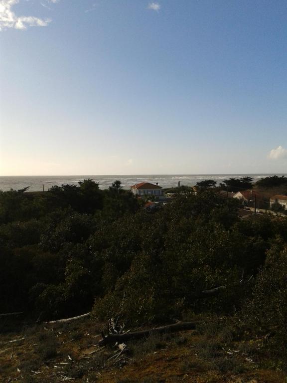 Hotel De La Petite Plage Saint-Georges-d'Oleron Ngoại thất bức ảnh