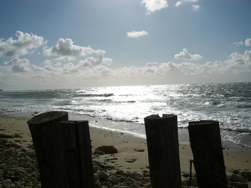 Hotel De La Petite Plage Saint-Georges-d'Oleron Ngoại thất bức ảnh