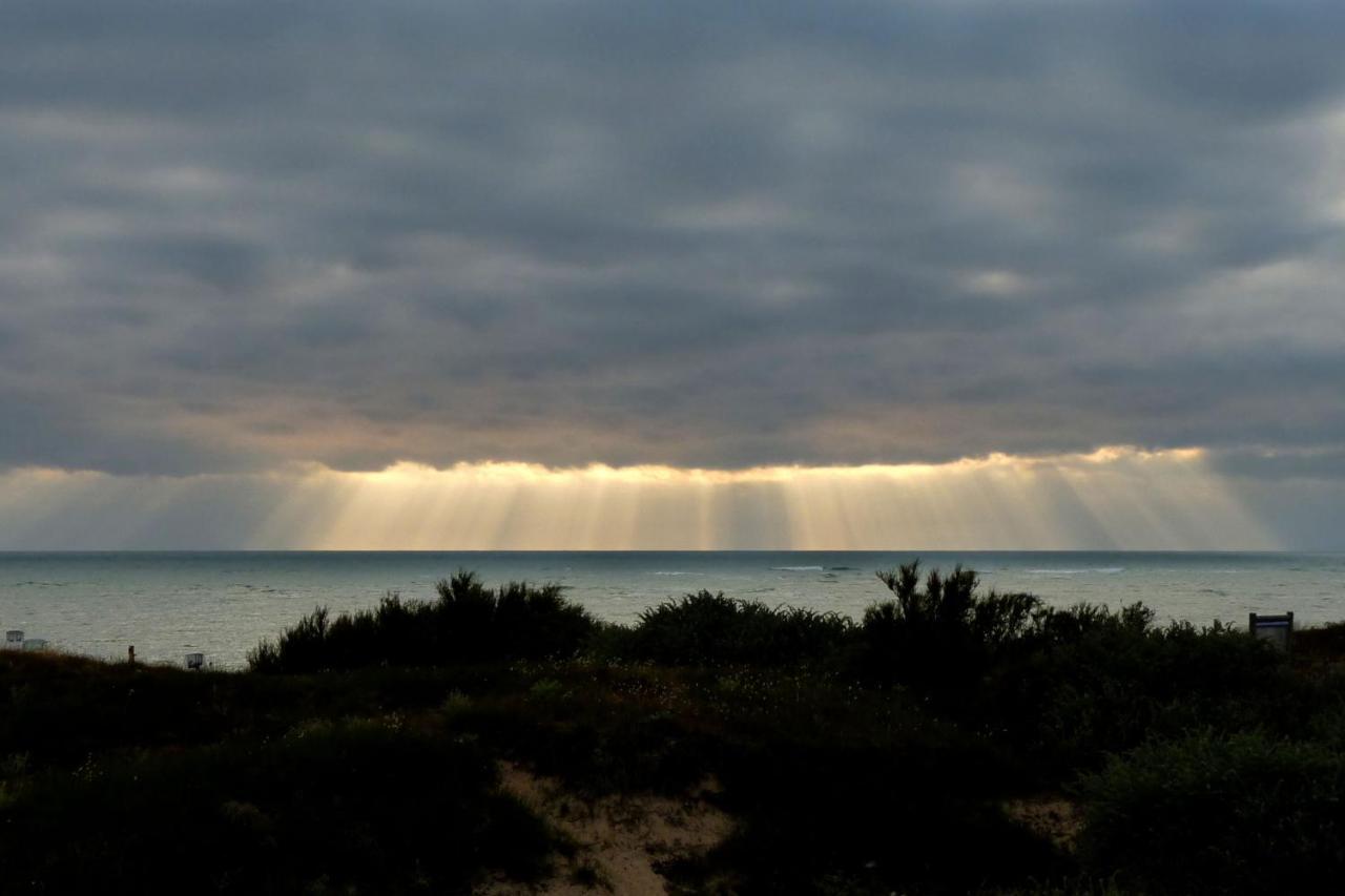 Hotel De La Petite Plage Saint-Georges-d'Oleron Ngoại thất bức ảnh