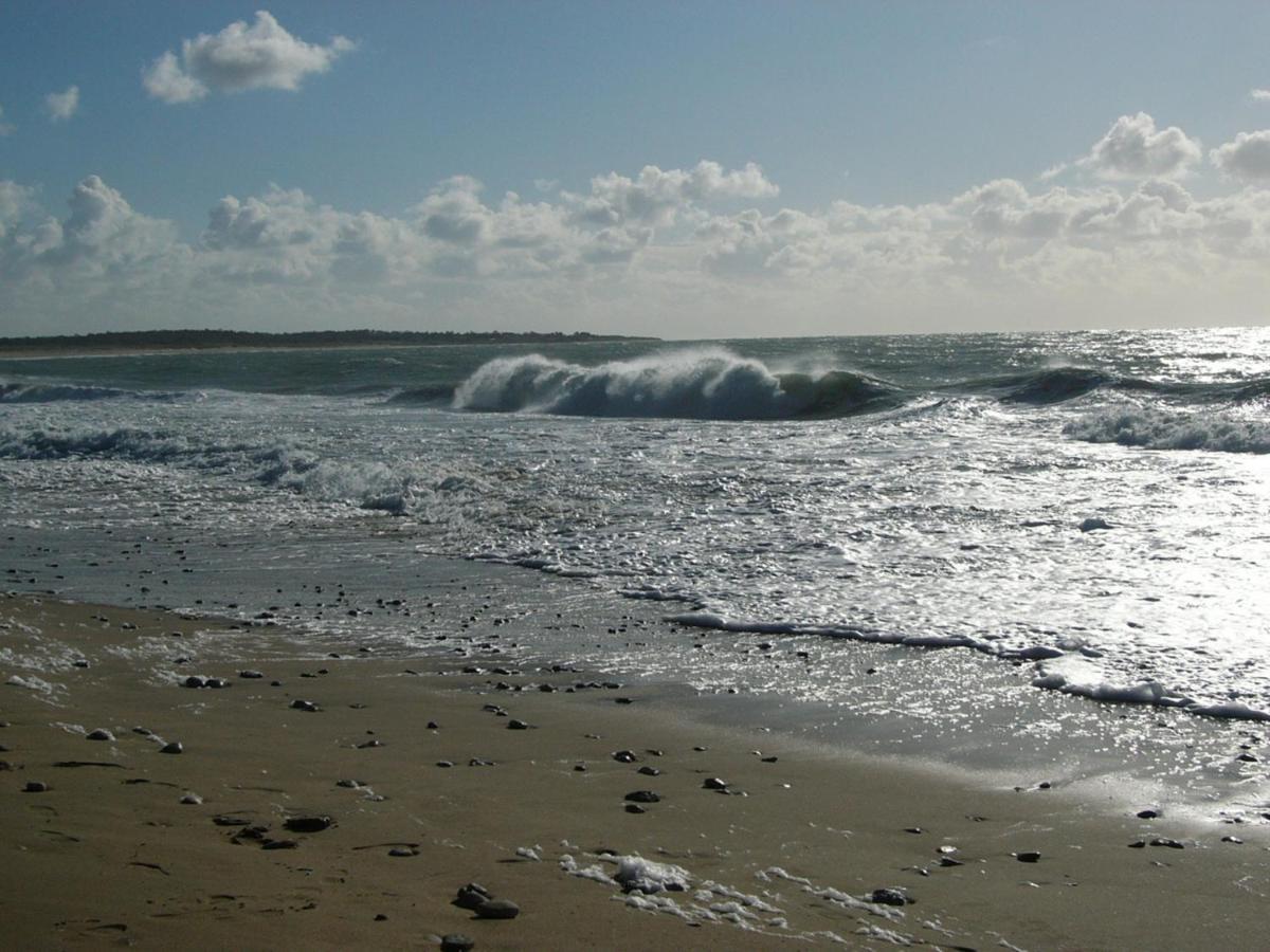 Hotel De La Petite Plage Saint-Georges-d'Oleron Ngoại thất bức ảnh